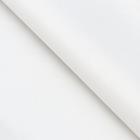 Бумага тишью, цвет белый, 50 х 66 см - Фото 1