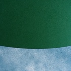 Салфетка сервировочная на стол Доляна «Тэм», 44×35.5 см, зелёная 5377941