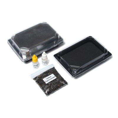 Набор для выращивания микрозелени Vegebox, 5 лотков, подсолнечник