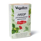 Набор для выращивания микрозелени Vegebox, 5 лотков, подсолнечник - Фото 6