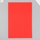 Фетр жесткий 1 мм "Красное дерево" набор 10 листов формат А4 - фото 7117694