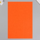Фетр жесткий 1 мм "Морковно-оранжевый" набор 10 листов формат А4 - Фото 4
