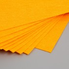 Фетр жесткий 1 мм "Оранжево-персиковый" набор 10 листов формат А4 - Фото 4