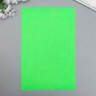 Фетр жесткий 1 мм "Зелёный лайм" набор 10 листов формат А4 - фото 7523026