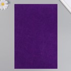Фетр жесткий 1 мм "Тёмный фиолет" набор 10 листов формат А4 - фото 7523032