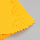 Фетр жесткий 2 мм "Мандариново-оранжевый" набор 10 листов формат А4 - фото 7359354