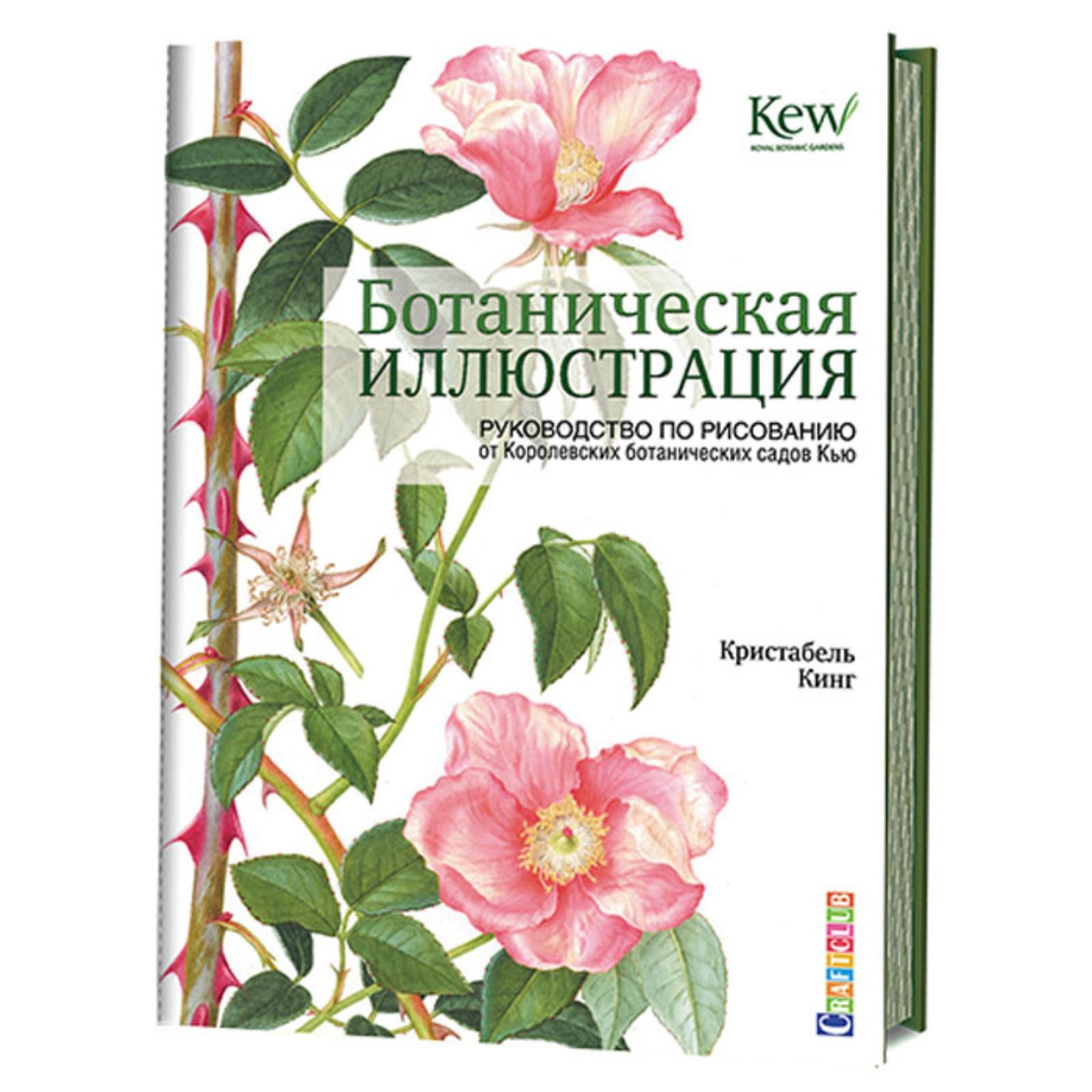 Ботаническая иллюстрация. Руководство по рисованию от Королевских ...