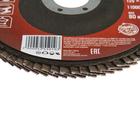 Круг лепестковый торцевой ЛОМ, 125×22 мм, Р24 - Фото 2