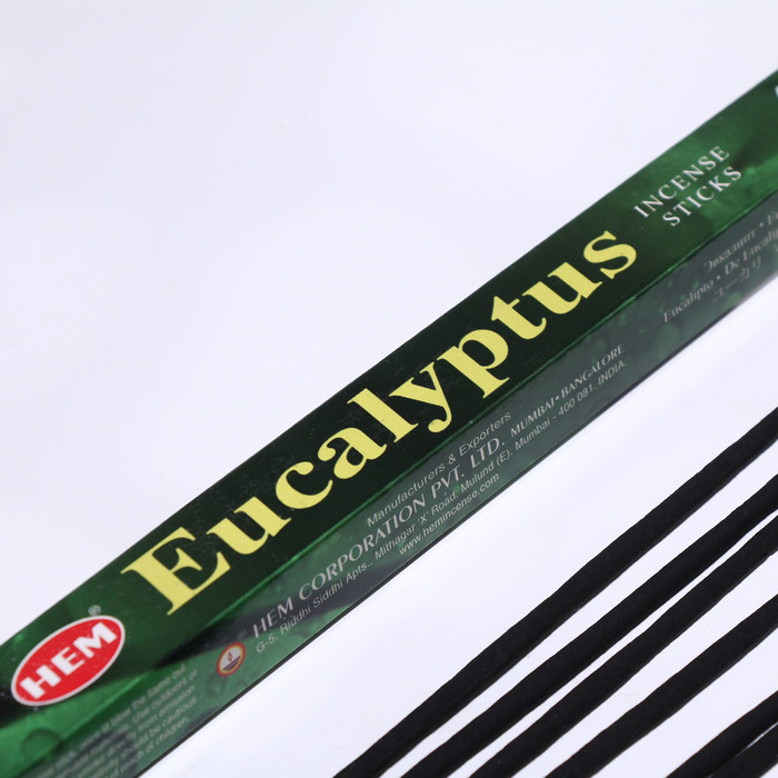 Благовония HEM "Eucalyptus. Эвкалипт ", 8 палочек в упаковке, четырёхгранник - фото 1906774882