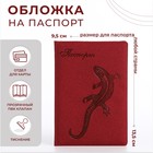 Обложка для паспорта, цвет красный - фото 1788556