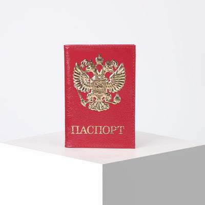 Обложка для паспорта, цвет фуксия