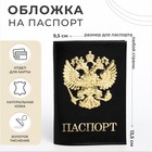 Обложка для паспорта, цвет чёрный - фото 9152358