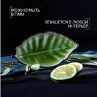 Блюдо сервировочное «Таллула. Лист», 18×9,5 см, керамика, цвет зелёный - Фото 3