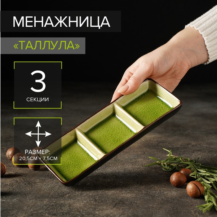 Менажница 3 секции «Таллула», 20.5×7.5×2.5 см, керамика - Фото 1