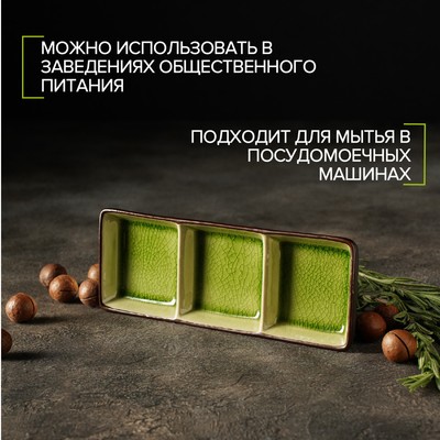 Менажница 3 секции «Таллула», 20.5×7.5×2.5 см, керамика