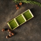 Менажница 3 секции «Таллула», 20.5×7.5×2.5 см, керамика - Фото 6