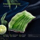 Блюдо керамическое сервировочное «Таллула», 20,5×12×3 см, цвет зелёный - фото 2610435