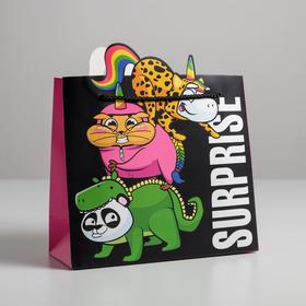 Пакет подарочный «Surpprise», 25 × 26 × 10 см
