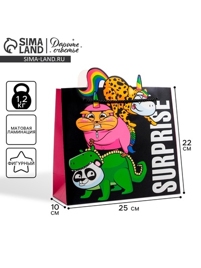 Пакет подарочный, упаковка Surprise, 25×26×10 см