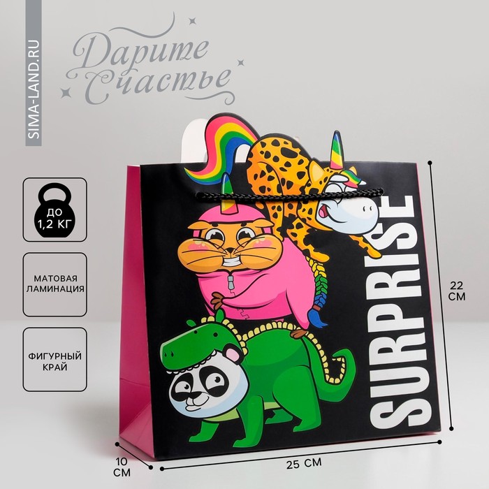 Пакет подарочный, упаковка, «Surpprise», 25 х 26 х 10 см - Фото 1