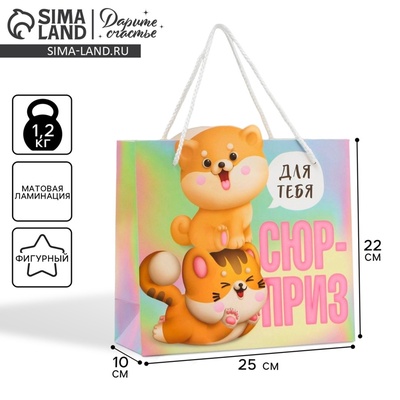 Пакет подарочный, упаковка, «Сюрприз», 25×26×10 см