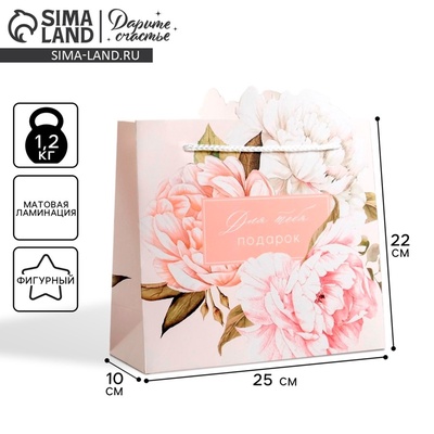 Пакет подарочный, упаковка, «Для тебя подарок», 25×26×10 см
