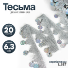 Тесьма с монетками, голография, серебристые уголки, в рулоне 20 метров - Фото 1