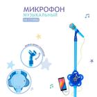 Микрофон «Волшебная музыка», голубой, в пакете 5864822 - фото 10904145