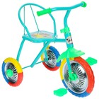 Велосипед трёхколёсный Micio TR-313, колёса 10"/8", цвет красный, голубой, розовый, зелёный, синий, жёлтый - Фото 4