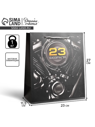 Пакет подарочный ламинированный, упаковка, «23 февраля», ML 23 х 27 х 11.5 см