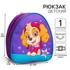 Рюкзак детский для девочки, 23х21х10 см, Щенячий патруль - Фото 1