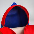 Рюкзак детский, 23×21×10 см, Щенячий патруль - Фото 5