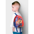 Рюкзак детский, 23×21×10 см, Щенячий патруль - Фото 6