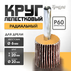 Круг лепестковый радиальный ТУНДРА, 20×20×6 мм, Р60 - Фото 1