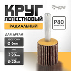 Круг лепестковый радиальный ТУНДРА, 20 х 20 х 6 мм, Р80 5162347 - фото 12980739