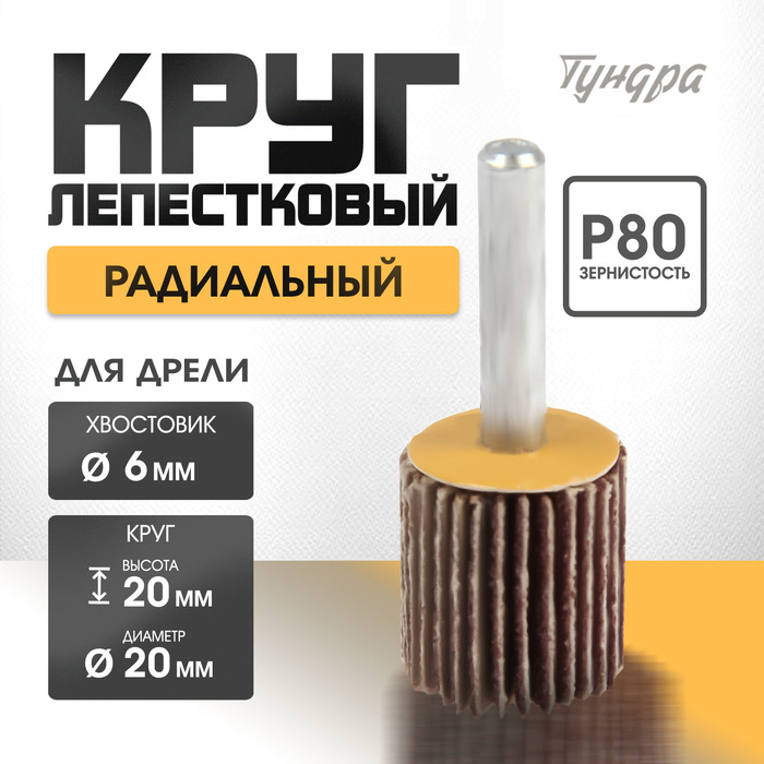 Круг лепестковый радиальный ТУНДРА, 20×20×6 мм, Р80 - Фото 1