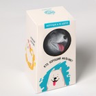 Игрушка в авто «Пёсики» - фото 41420561