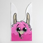 Упаковка подарочная, Мешок «Лама», 12×11.5 см 5302644