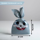 Мешок подарочный «Зайчик», 21?16.5 см (комплект 20 шт) - фото 59323734
