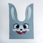 Мешок подарочный «Зайчик», 21?16.5 см (комплект 20 шт) - фото 59323735