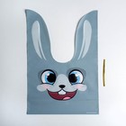 Мешок подарочный «Зайчик», 21?16.5 см (комплект 20 шт) - фото 59323736