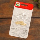 Набор семян Кабачок "Хит продаж", 3 шт - Фото 7