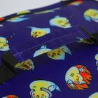 Термосумка "Птицы",  29х23х10 см, 6,5 л - фото 24283537