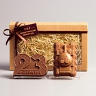 Бельгийский шоколад, 2 в 1 «23 февраля №2 + Танк», 160 г 5864617