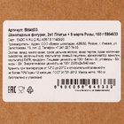 Бельгийский шоколад, 2 в 1 «Платье + 8 марта. Розы», 160 г - Фото 3