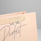 Пакет подарочный ламинированный квадратный, упаковка, «You are perfect», 30 х 30 х 12 см - Фото 4