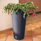 Кашпо RATO TUBUS, 2 предмета: внутренняя и наружная ёмкости, 35 и 64 л, цвет антрацит - Фото 3