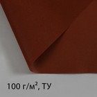 Материал для ландшафтных работ, 10 × 1,6 м, плотность 100 г/м², с УФ-стабилизатором, коричневый - Фото 1