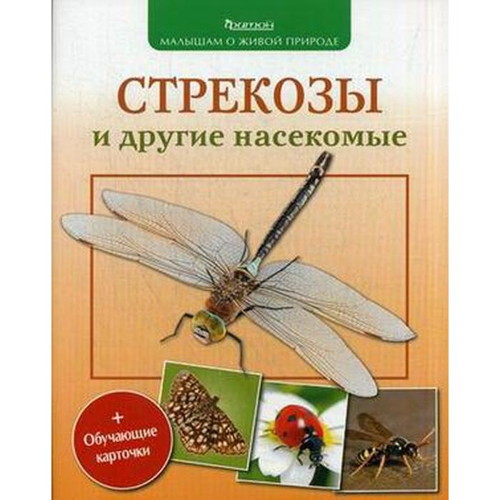 Стрекозы и другие насекомые (с обучающими карточками и раскрасками) - Фото 1