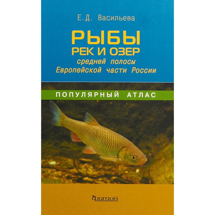 Екатерина Васильева: Рыбы рек и озёр средней полосы Европейской части России - Фото 1